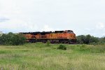 BNSF 4040 South